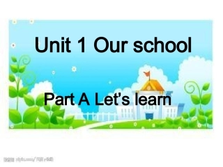 二氧化碳的性质探究