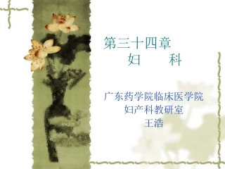 宫颈癌-PPT模板