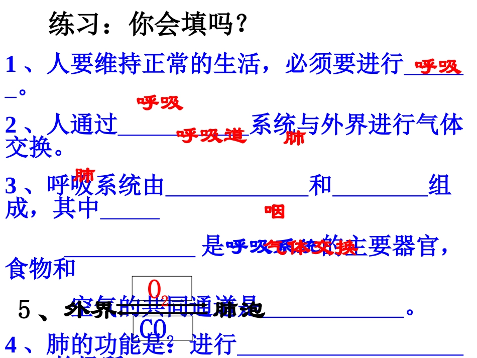 肺与外界的气体交换1_第2页
