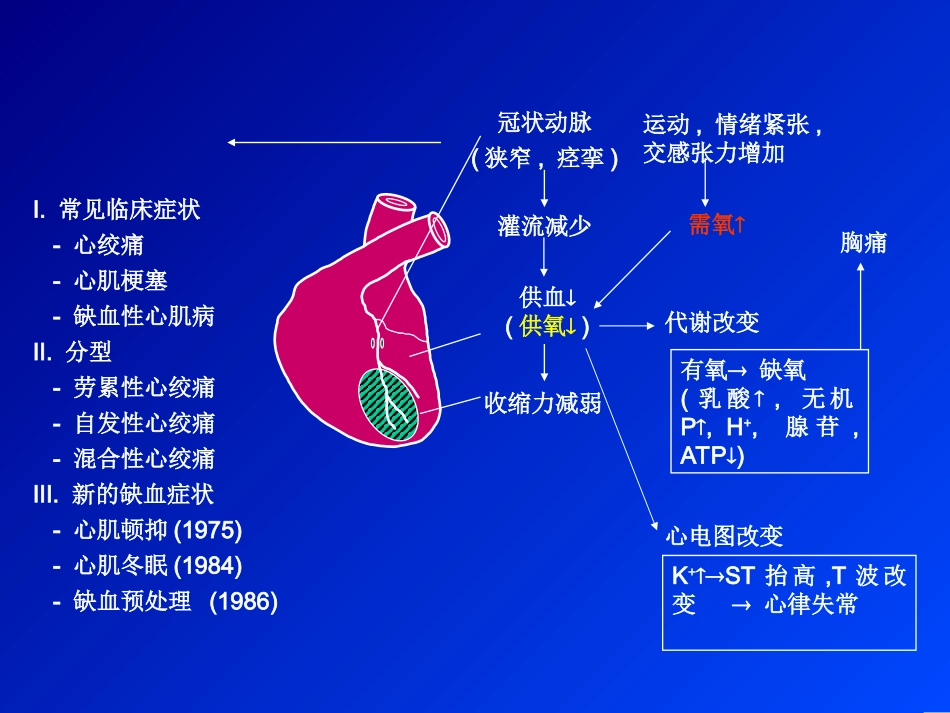 A抗心绞痛药_第3页