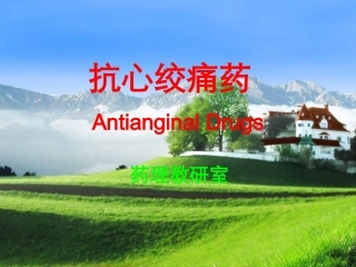 A抗心绞痛药