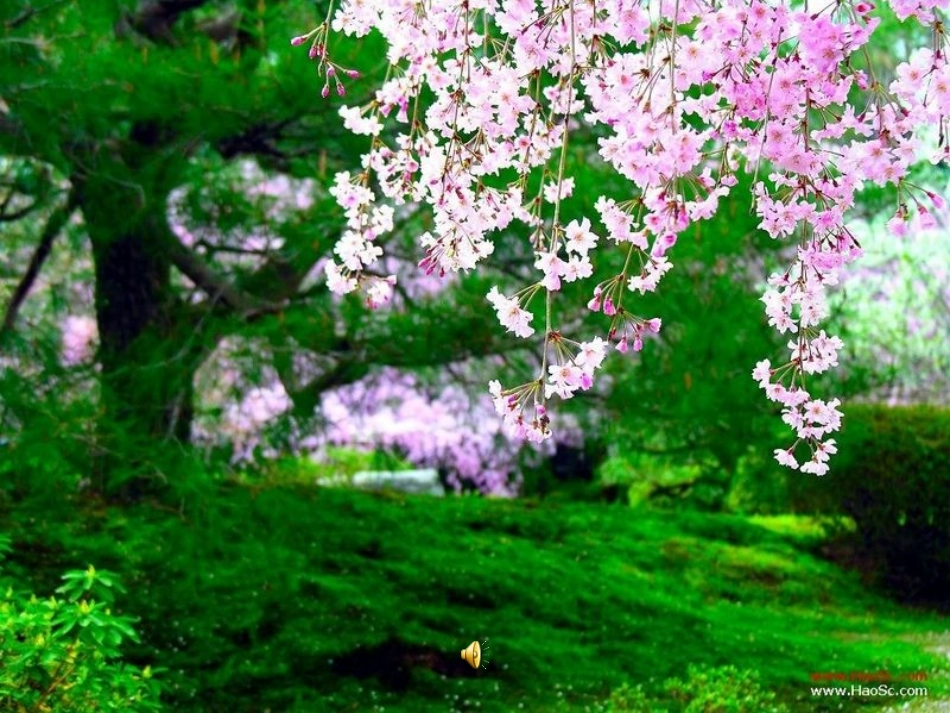 话题作文 (2)_第2页