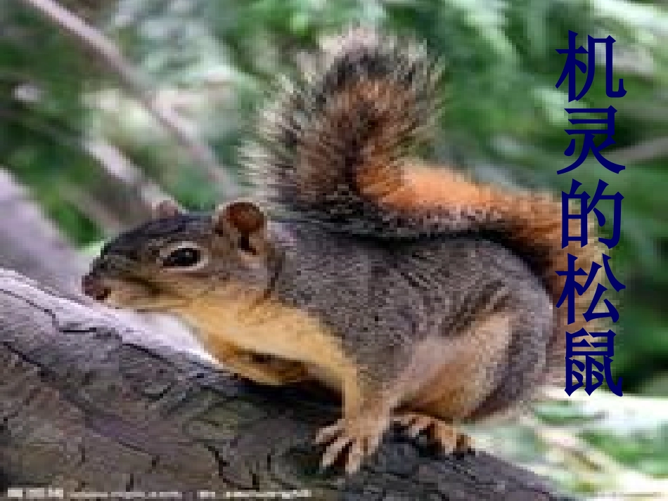 从现在开始欧媛媛_第2页