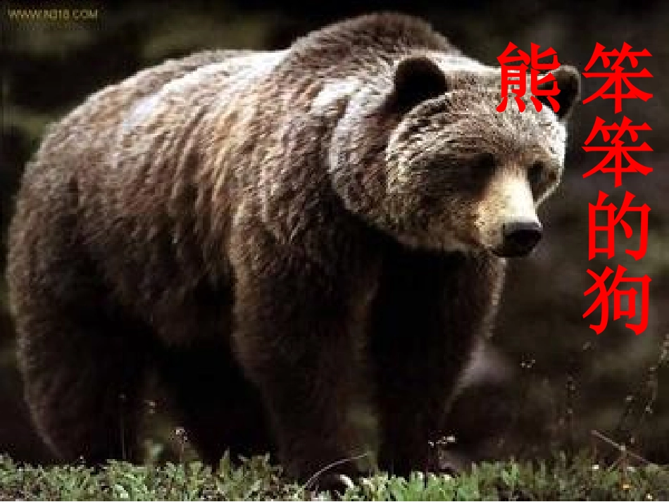 从现在开始欧媛媛_第3页