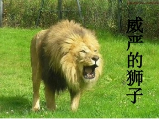 从现在开始欧媛媛