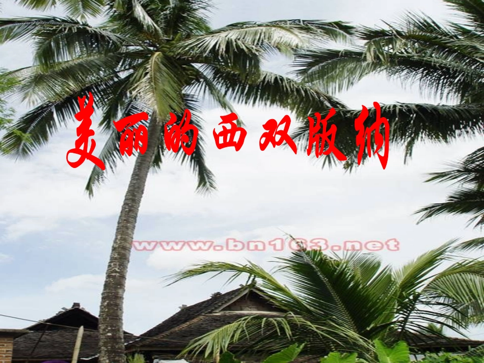 美丽的西双版纳课件_第1页