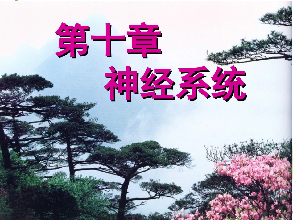 第二版第十章 -神经_第1页