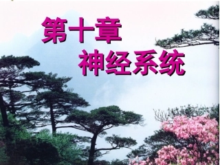 第二版第十章 -神经