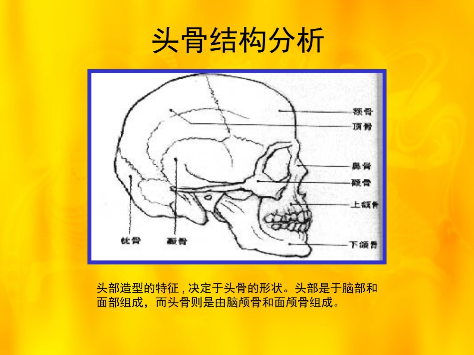 石膏头像素描_第2页