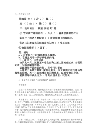 金色脚印习题