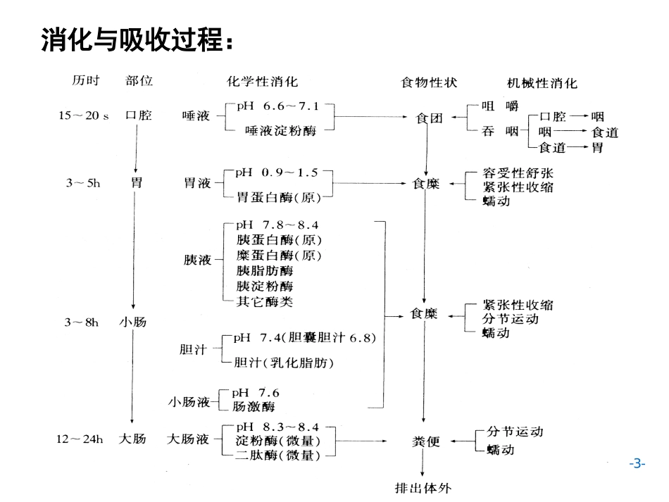 AC6消化1施建蓉_第3页
