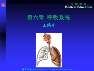解剖学--呼吸系统_人体解剖生理学