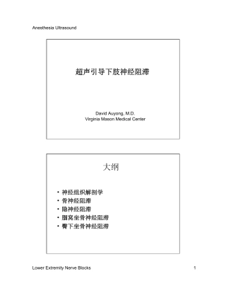 超声引导下肢神经阻滞