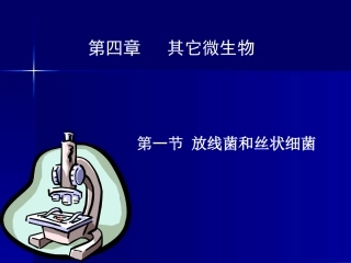 第四章 其它微生物-1