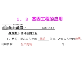 基因工程的应用