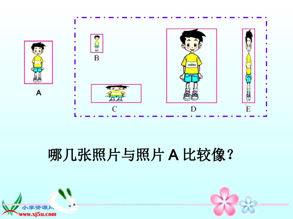 北师大版数学六年级上册《生活中的比》PPT课件之三_第3页