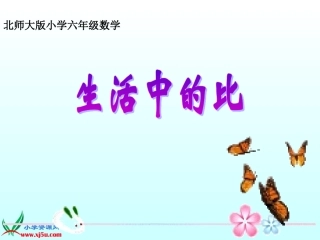 北师大版数学六年级上册《生活中的比》PPT课件之三