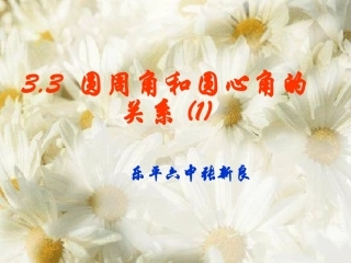 《圆周角与圆心角的关系》1课件