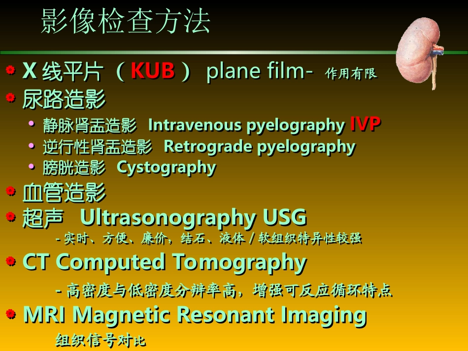 泌尿系统—陈_第2页