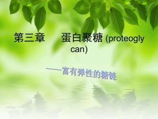 蛋白聚糖-2010