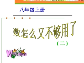 数怎么又不够用了（二）演示文稿
