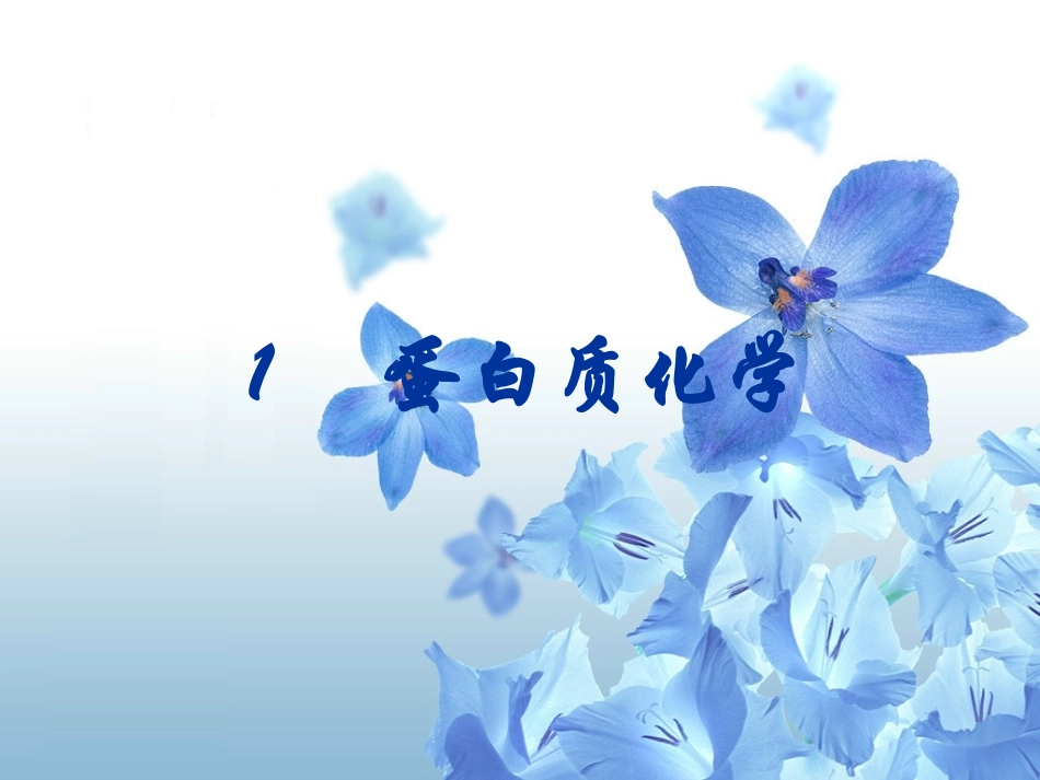 生化—蛋白质-3_第1页