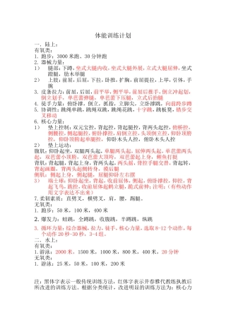 体能训练计划