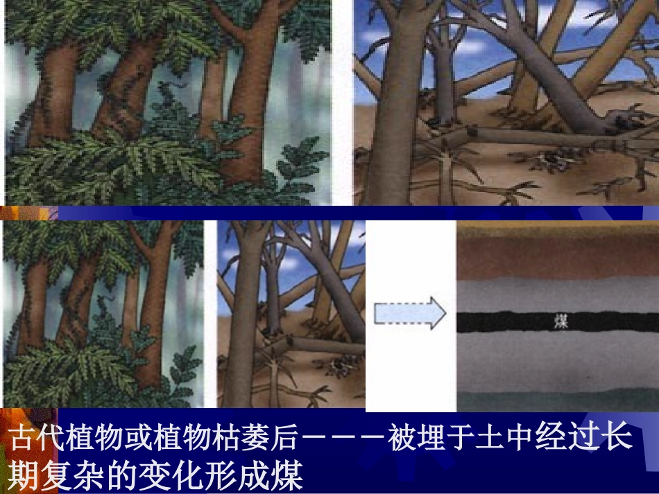 课题二______燃料和热量_第3页