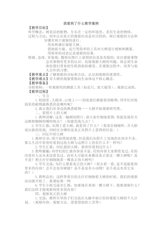 我看到了什么教学案例
