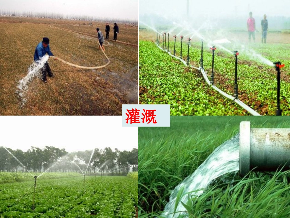 《河流》（第1课时）_第3页