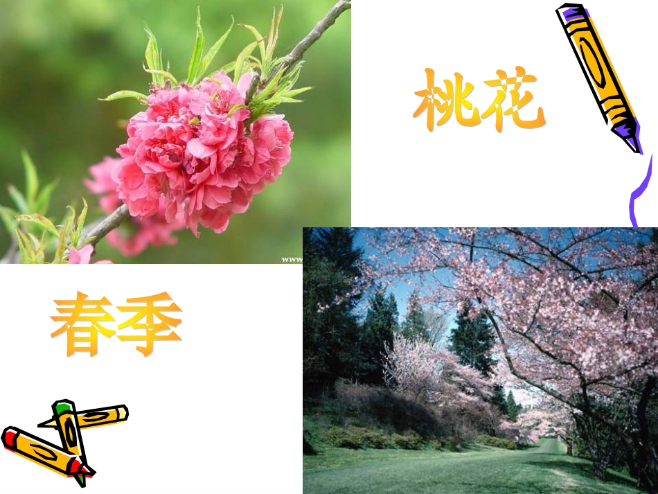 大自然的语言 (3)_第2页