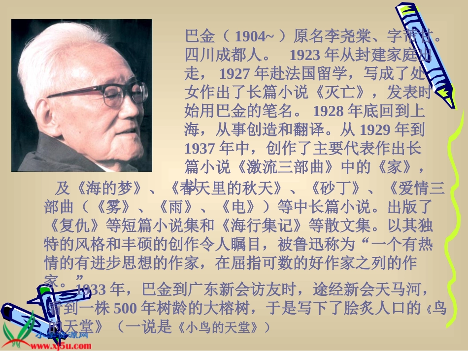 新课标人教版四年级语文上册《鸟的天堂》PPT课件_第2页