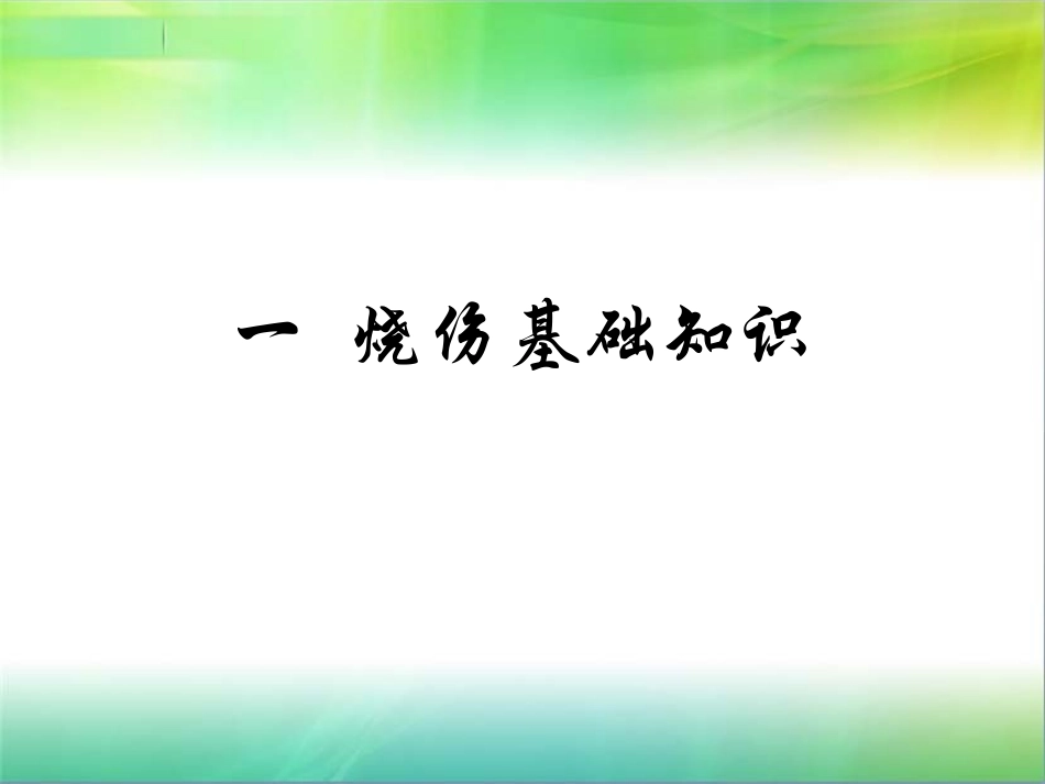 烧伤基础知识与早期创面处理_第2页