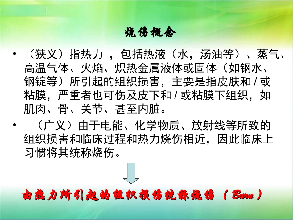 烧伤基础知识与早期创面处理_第3页