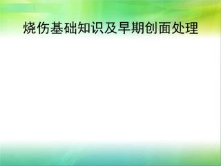 烧伤基础知识与早期创面处理