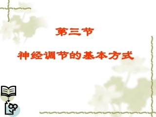 神经的调节方式