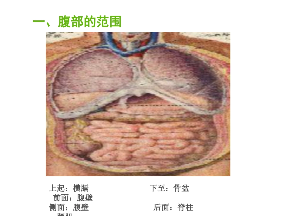 健康评估腹部_第3页