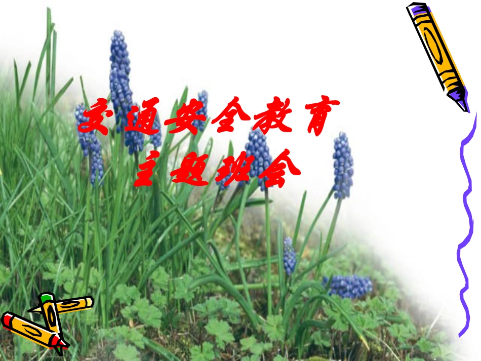 交通安全教育PPT_第1页