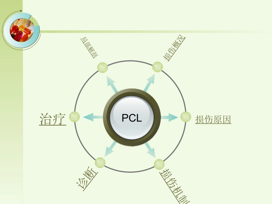 后交叉韧带损伤的诊疗_第2页