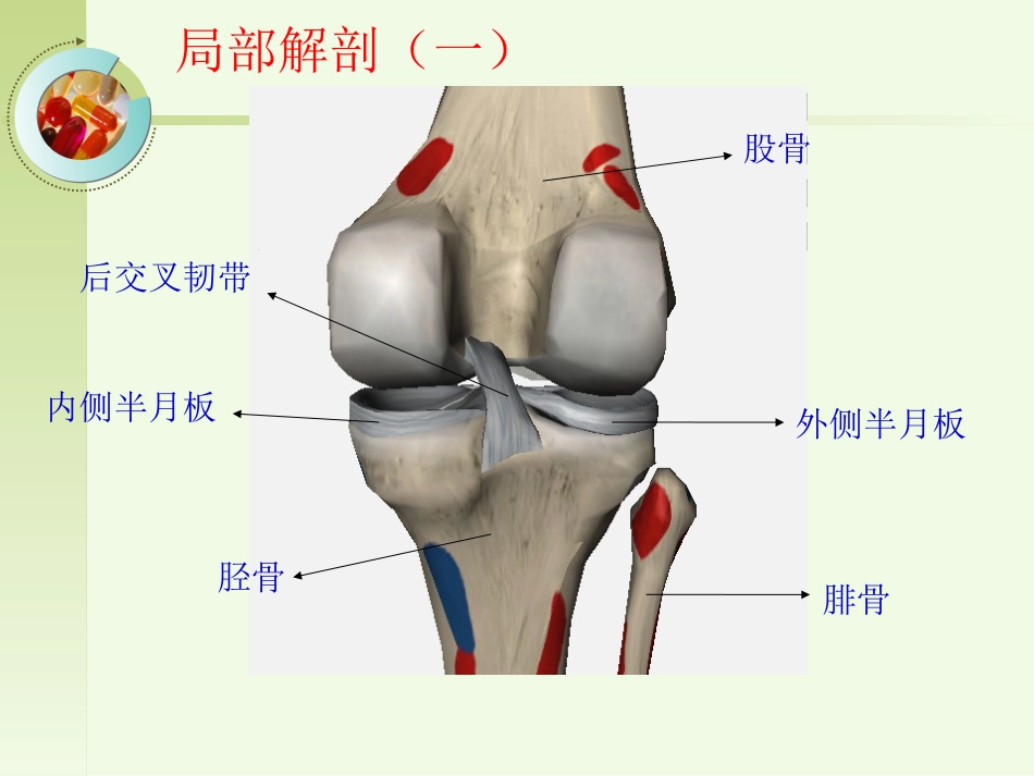 后交叉韧带损伤的诊疗_第3页