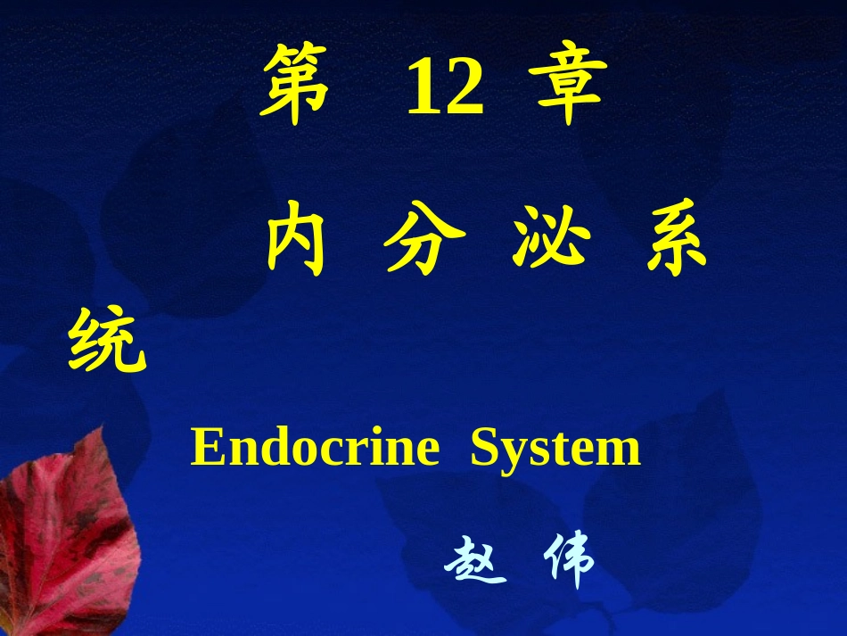 内分泌系统----组织学与胚胎学_第1页