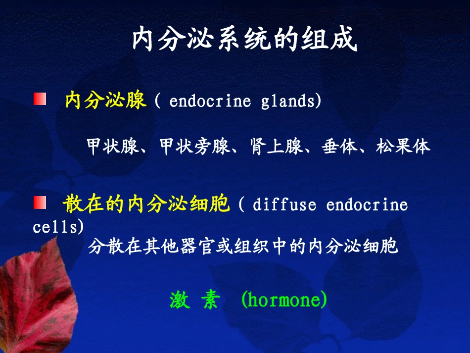 内分泌系统----组织学与胚胎学_第3页