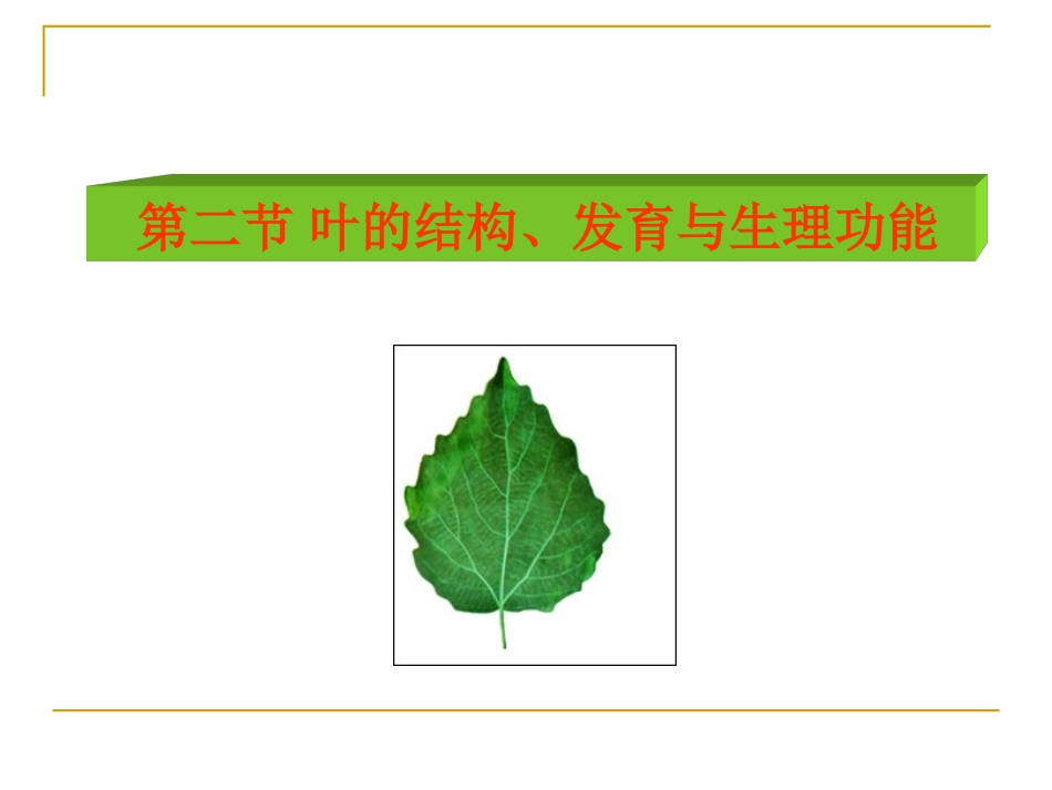 第二节叶的结构,发育与生理功能_第1页