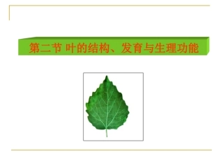 第二节叶的结构,发育与生理功能