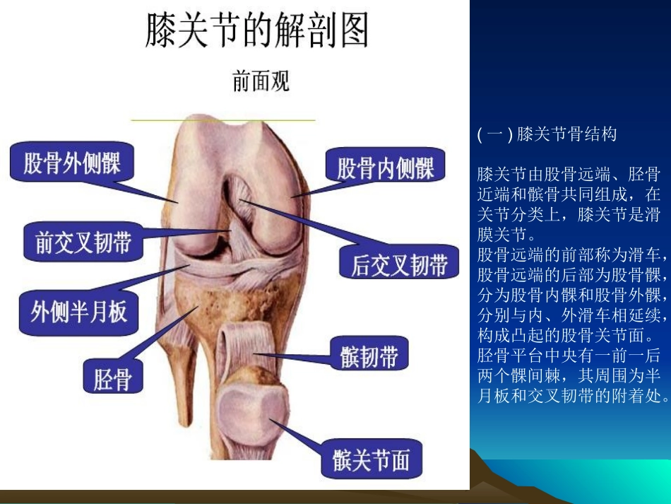 膝关节镜手术后的康复_第2页