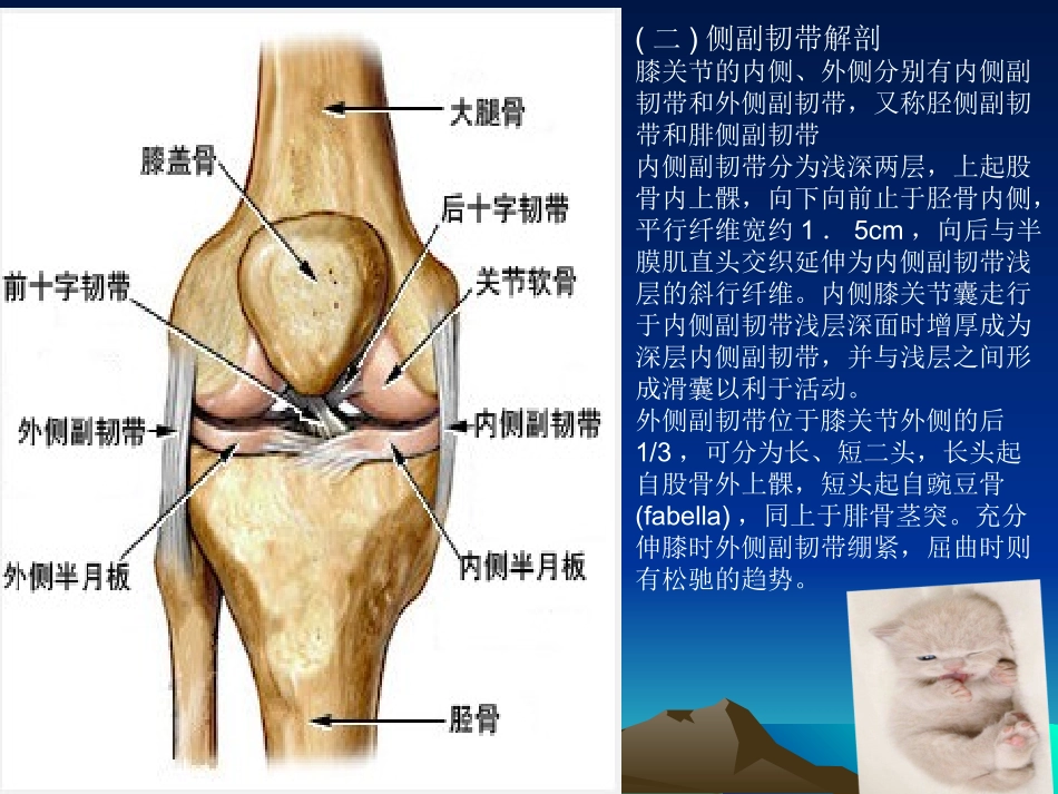 膝关节镜手术后的康复_第3页