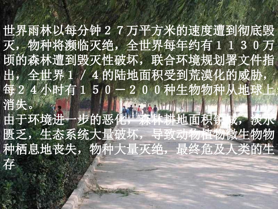 阳阳阳的课件雨林的毁灭--世界性灾难_第3页