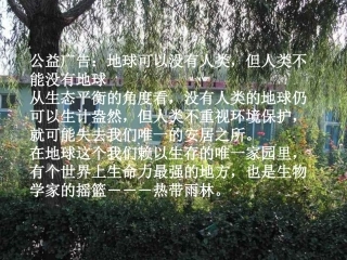 阳阳阳的课件雨林的毁灭--世界性灾难