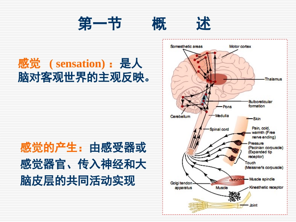 感官(朱文玉)_第2页