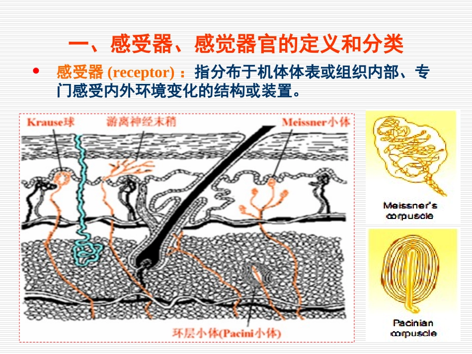 感官(朱文玉)_第3页